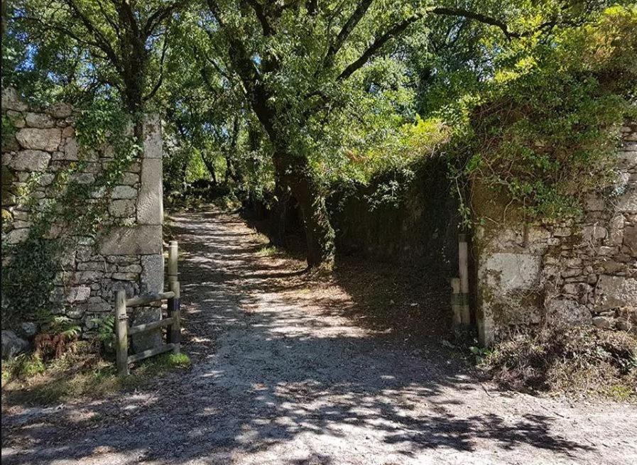 Acogedora Minicasa En Entorno Rural A 1200 M De La Catedral Daire Santiago de Compostela Dış mekan fotoğraf